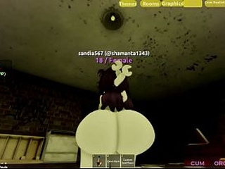 video verificaci&oacute_n